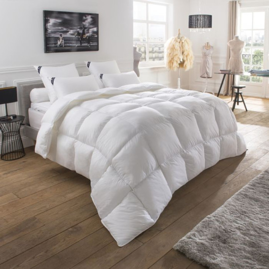 Drouault Galaxie goose duvet 280g/m² - 5 sizes
