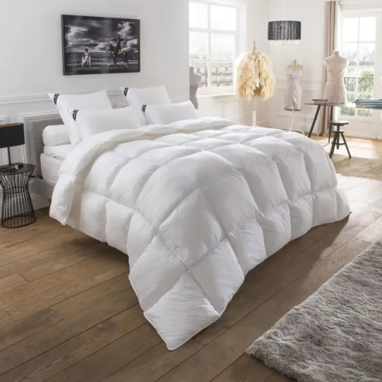 Drouault Galaxie goose duvet 280g/m² - 5 sizes