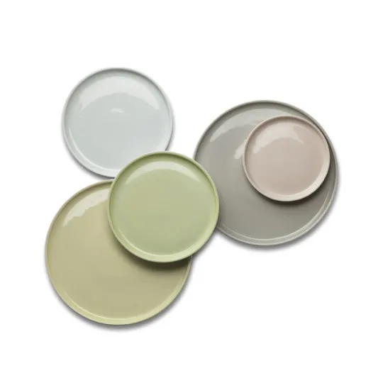 DEGRENNE 4 Plates La Vaisselle de l'ECONOME - 4 colors 3 sizes