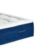 EPEDA Mattress Dédicace Perséides - 19 sizes 6 colors