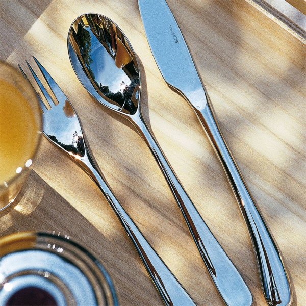 Aquatic Miroir 24pcs Cutlery Degrenne