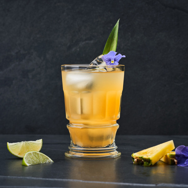 La Rochère 4 Cocktail Glasses Club