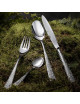 Aquatic Supernature 24pcs Cutlery Degrenne