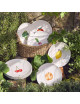 Degrenne Box of 4 saisons vegetable plates