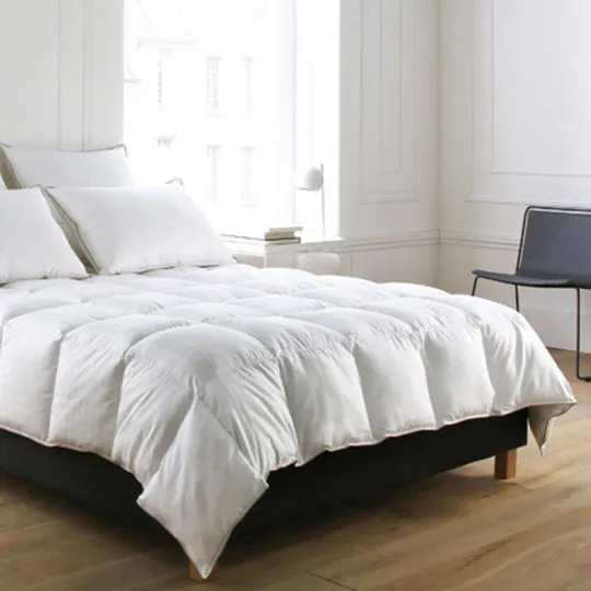 Blanc des Vosges Winter duvet Palais Royal 450g/m²