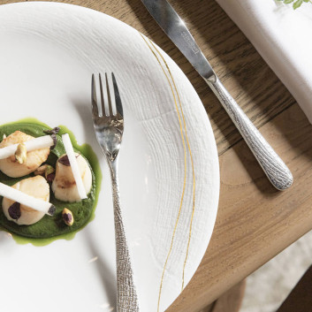 Degrenne 6 Gold Supernature Plates - 2 sizes