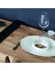 4 Gourmet plates Degrenne