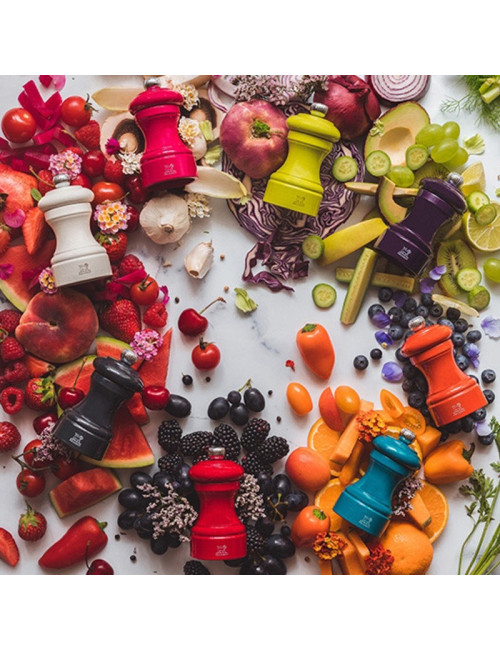 Peugeot 2 mills Bistrorama salt pepper