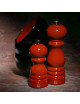 2 Peugeot Paris Salt and Pepper Mills