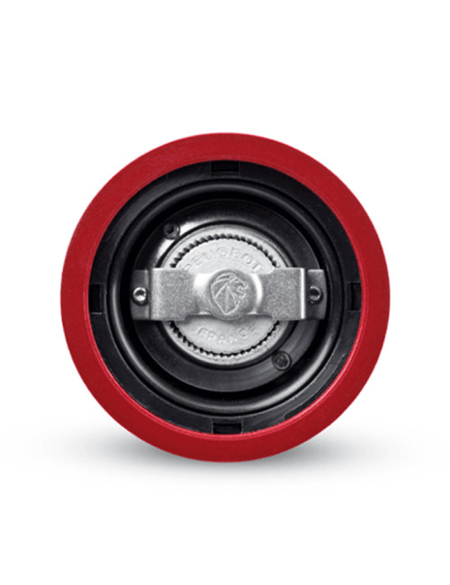 2 Peugeot Paris Salt and Pepper Mills