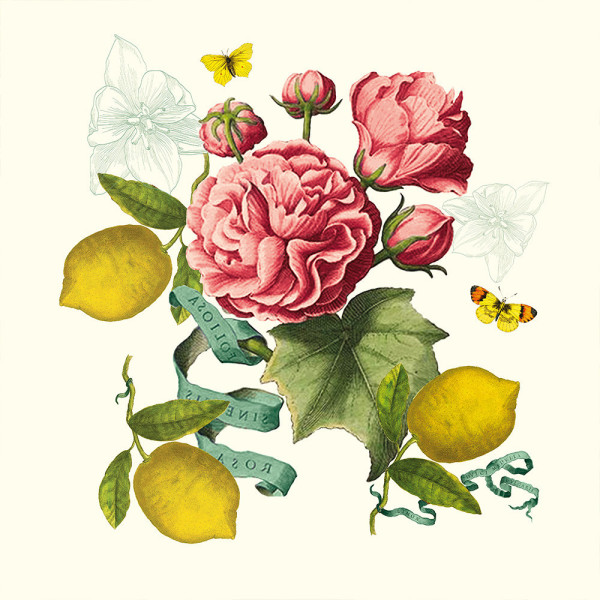 Garnier Thiebaut Citrons de Menton 4 napkins