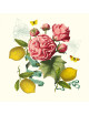 Garnier Thiebaut Citrons de Menton 4 napkins