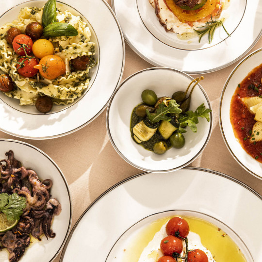 DEGRENNE Salad bowl Eclipse Galon platinum gold - 2 colors