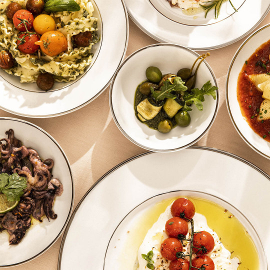 DEGRENNE 6 platinum gold braid plates - 4 sizes 2 colors