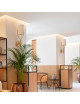 CVL Arborescence wall lamp - 2 sizes 8 finishes