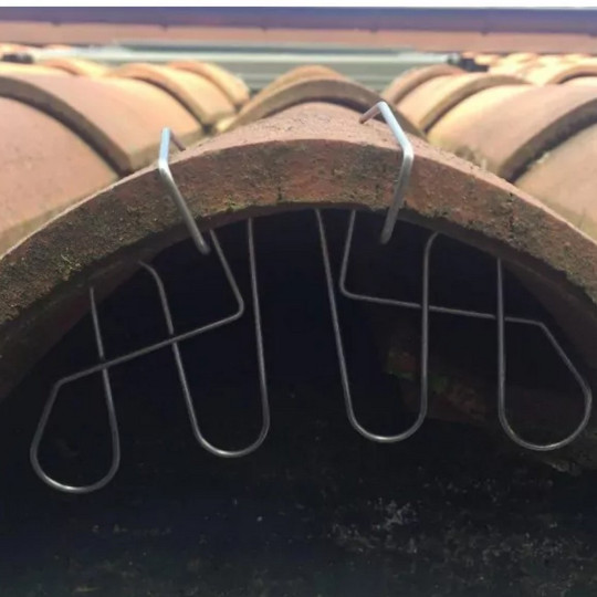 copy of Bouilloire Palmouse