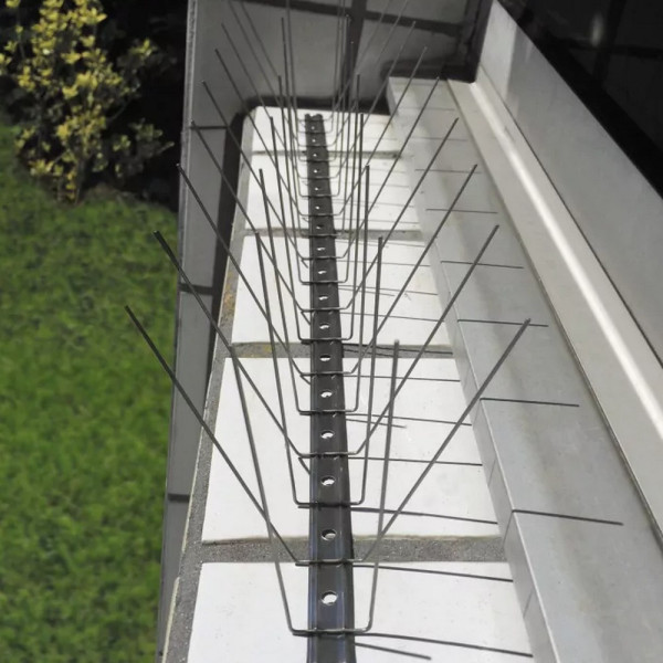 Oisipic 150 bird spikes - 5 linear meters