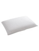 André Renault Viscogel pillow 60x40cm