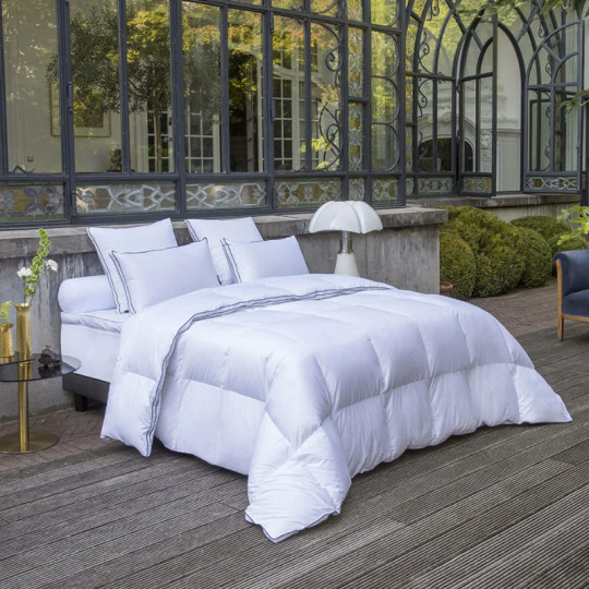 Drouault Palais des Rêves duvet 250g/m² temperate - 4 sizes