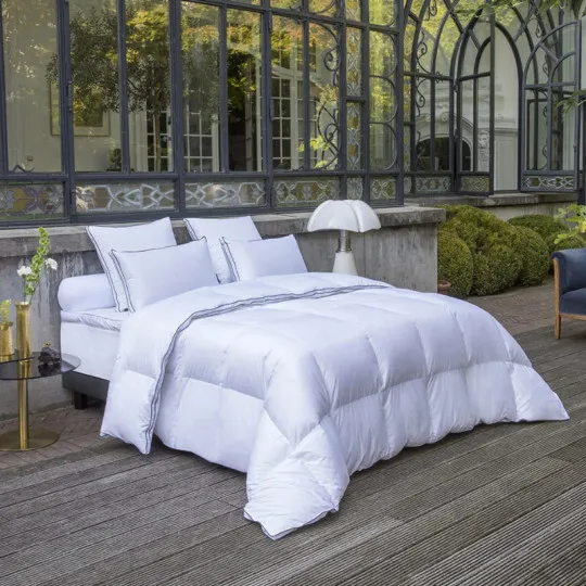 Drouault Palais des Rêves duvet 250g/m² temperate - 4 sizes