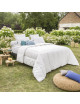Drouault Terra duvet 300g/m² tempered - 4 sizes