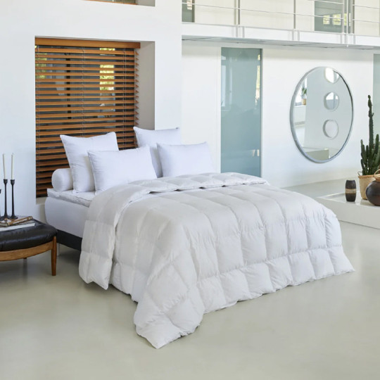 Drouault Galaxie goose duvet 180g/m² temperate - 5 sizes