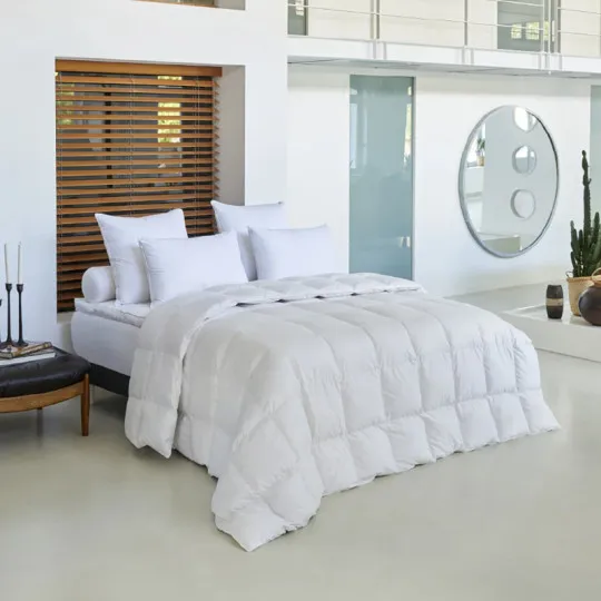 Drouault Galaxie goose duvet 180g/m² temperate - 5 sizes
