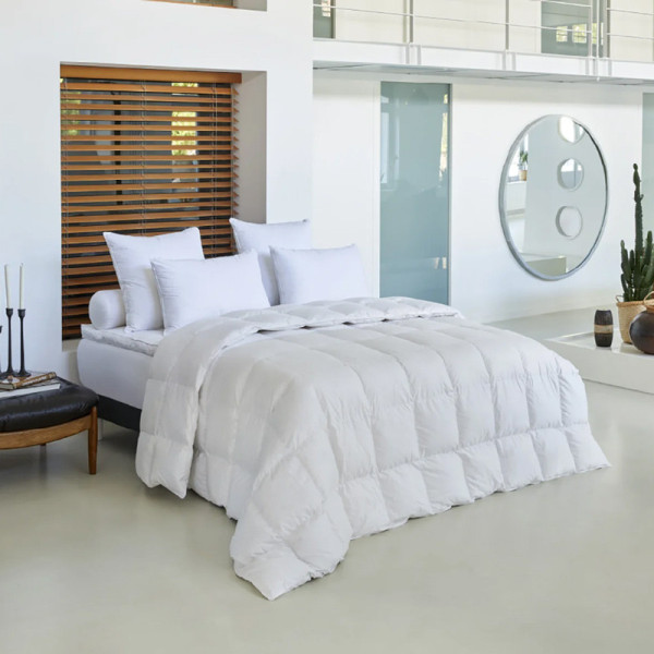Drouault Galaxie goose duvet 180g/m² temperate - 5 sizes