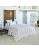 Drouault Galaxie goose duvet 180g/m² temperate - 5 sizes