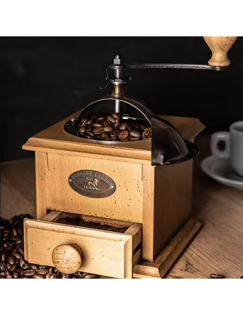Peugeot Saveurs Antique manual coffee grinder