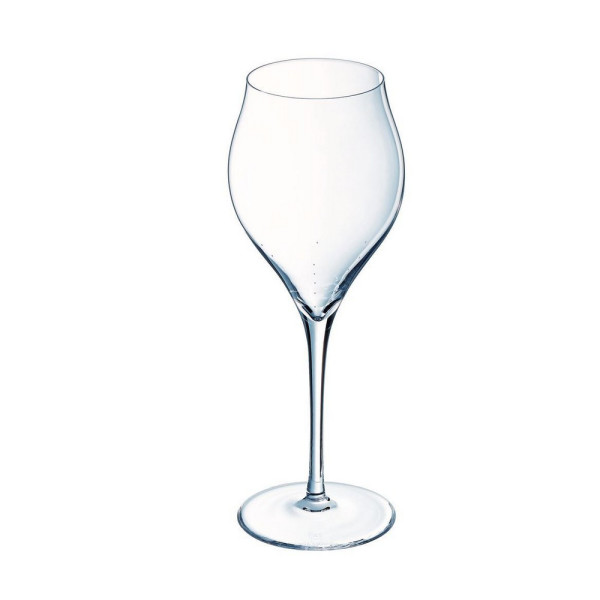 Chef and Sommelier Set of 6 Exaltation Champagne Glasses - 2 sizes