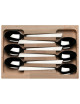 Roger Orfèvre Box of 6 Jazz stainless steel table spoons - 2 finishes