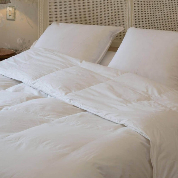 Summer Duvet goose down 165g