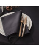 Degrenne Box of 24 cutlery Guest Copper