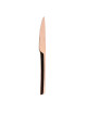 Degrenne Box of 24 cutlery Guest Copper