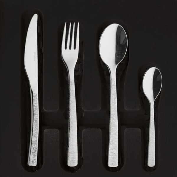 DEGRENNE Box of 124 cutlery Astrée Ciselé Mirror