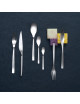DEGRENNE Box of 124 place settings Guest Mirror