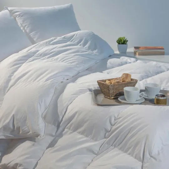 Summer Duvet goose down 165g