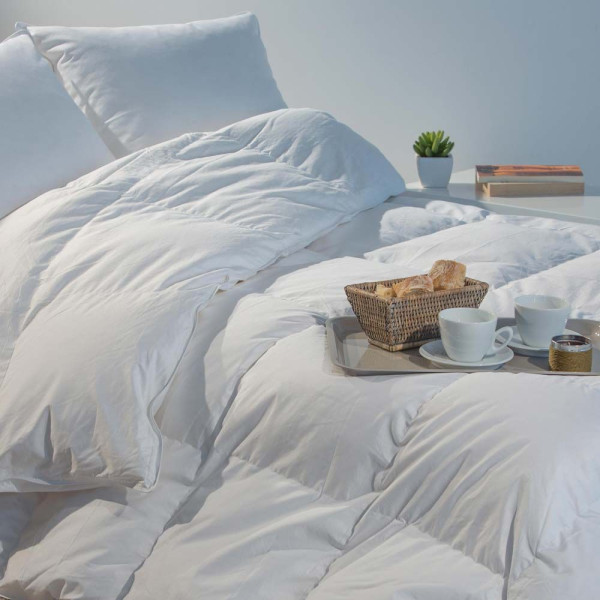 Summer Duvet goose down 165g