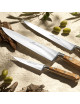 SABATIER kitchen knife Ideal Provencao wood - 16 models