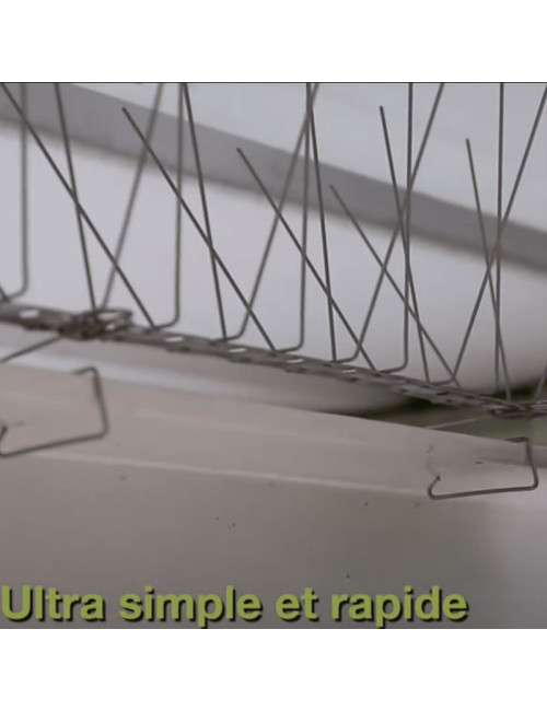 copy of Bouilloire Palmouse