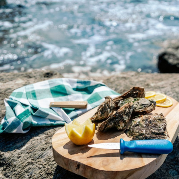 NOGENT Classic Polypro Blue Oyster Knife