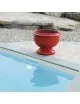 Anduze Planter Terre Figuiere