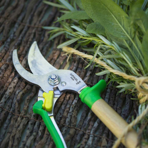 OPINEL pruning shears in wood and stainless steel - 2 colours