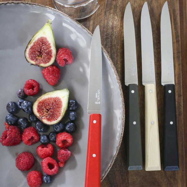 OPINEL box set of 4 knives n°125 Bon appétit bois - 5 colors