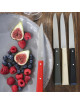 OPINEL box set of 4 knives n°125 Bon appétit bois - 5 colors
