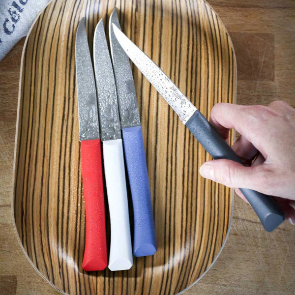 OPINEL Box of 4 Bon appétit + polymer knives - 5 colors