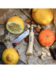 OPINEL Tradition stainless steel beech folding knife - 6 sizes n°6, n°7, n°8, n°9, n°10 and n°12