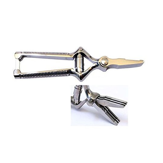 Roger Orfèvre Chrome masticator