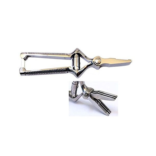 Roger Orfèvre Chrome masticator